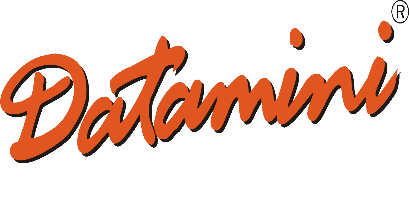 Datamini Technologies India Limited logo