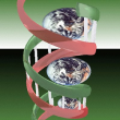 Bioinformatics Centre, Biotech Park Lucknow