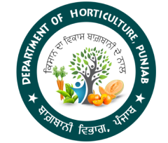 Horticulture Department