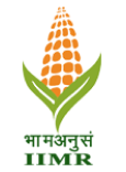 ICAR-Indian Institute of Maize Research