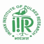 Indian Institute of Pulses Research