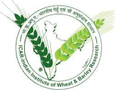 Indian Institute of Wheat and Barley Research