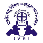 Indian Veterinary Research Institute ( IVRI )