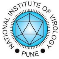 National Institute of Virology
