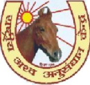 National Research Centre on Equines