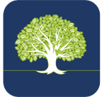 WhiteOak Capital Asset Management Ltd