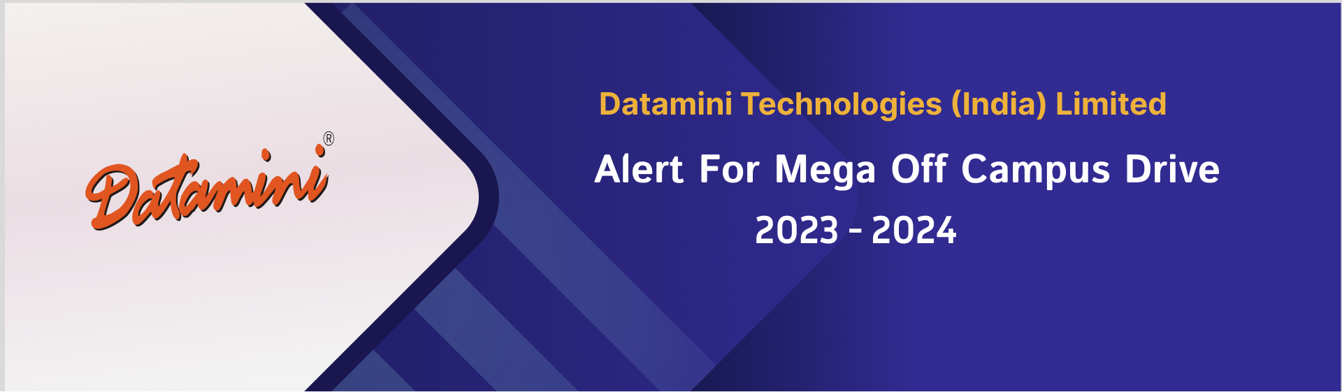 Datamini Technologies (India) Limited